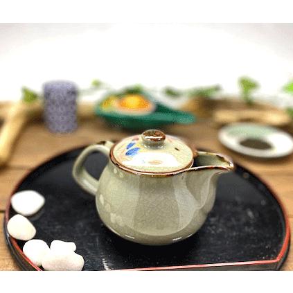 九谷焼 高級 陶磁器 急須 大 和桜 裏絵(Kutani teapot)おしゃれ 手描き