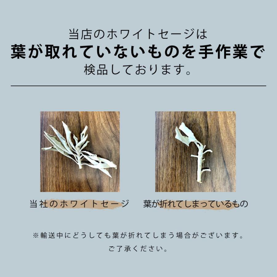 アンドエスエイチ 浄化用 ホワイトセージ カリフォルニア産 無農薬 5g