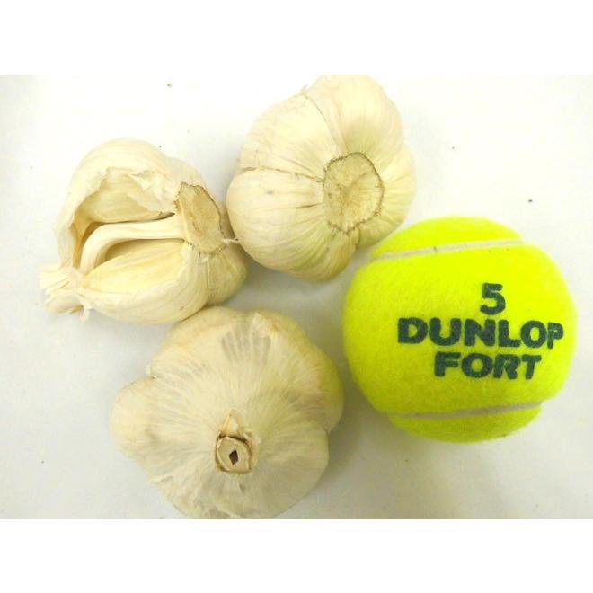 青森県 訳あり ”国産にんにく” 約10kg 送料無料 : くらし快援隊 - 通販