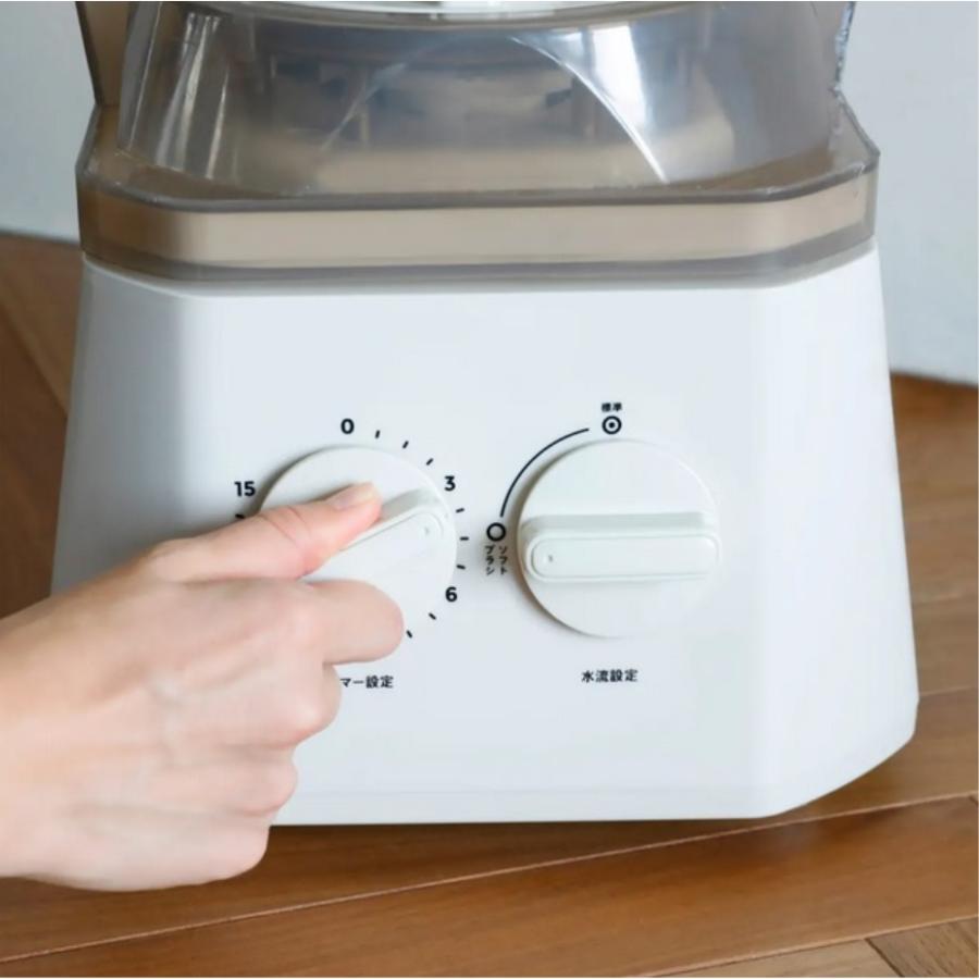 CB JAPAN（シービージャパン） バケツ型洗濯機 ブラッシュボーイ TOM