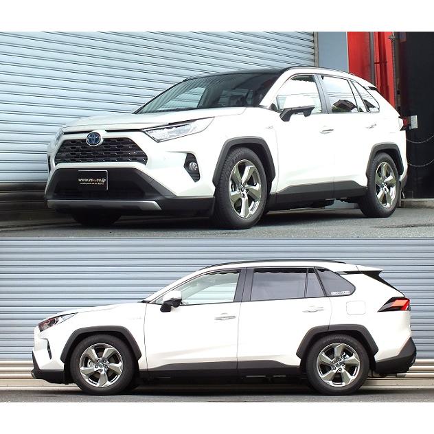 RSR RS-R Best-i車高調(ベストアイ) RAV4 AXAH54/4WD H31/4