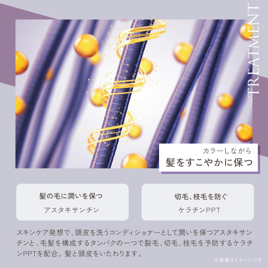 KYOGOKU PROFESSIONAL 公式 25%OFF 【 KYOGOKU シルバーカラーフォーム