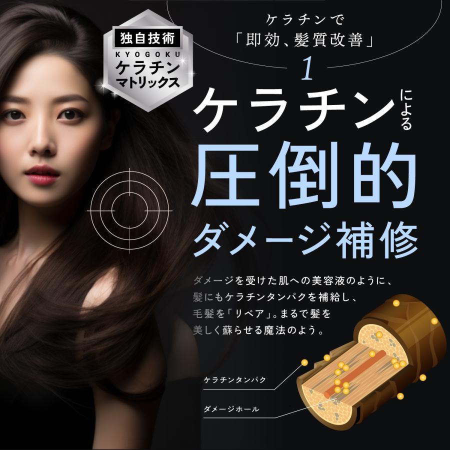 KYOGOKU PROFESSIONAL 公式 セットで15%OFF 【 KYOGOKU ケラチン