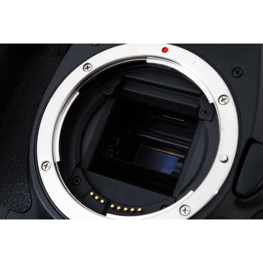 EOS キヤノン デジタル一眼 Canon 7D ボディ 中古 おまけ付き : Iさん