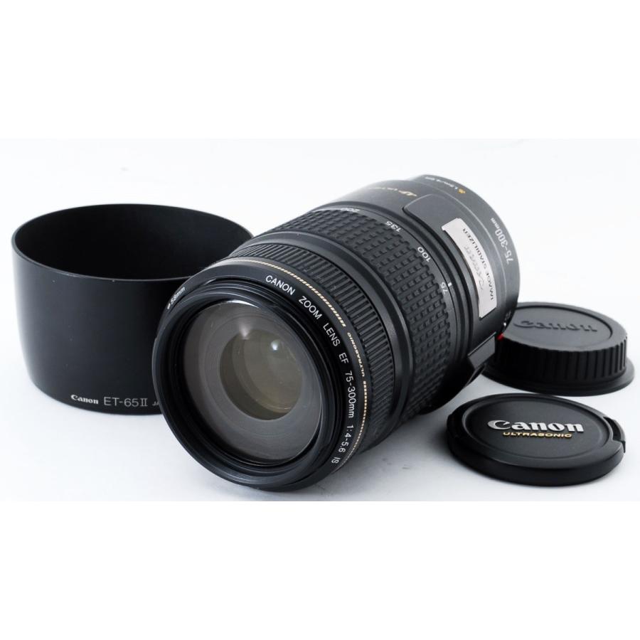 キヤノン（Canon） 望遠レンズ CANON EF 75-300mm F4-5.6 IS USM 中古