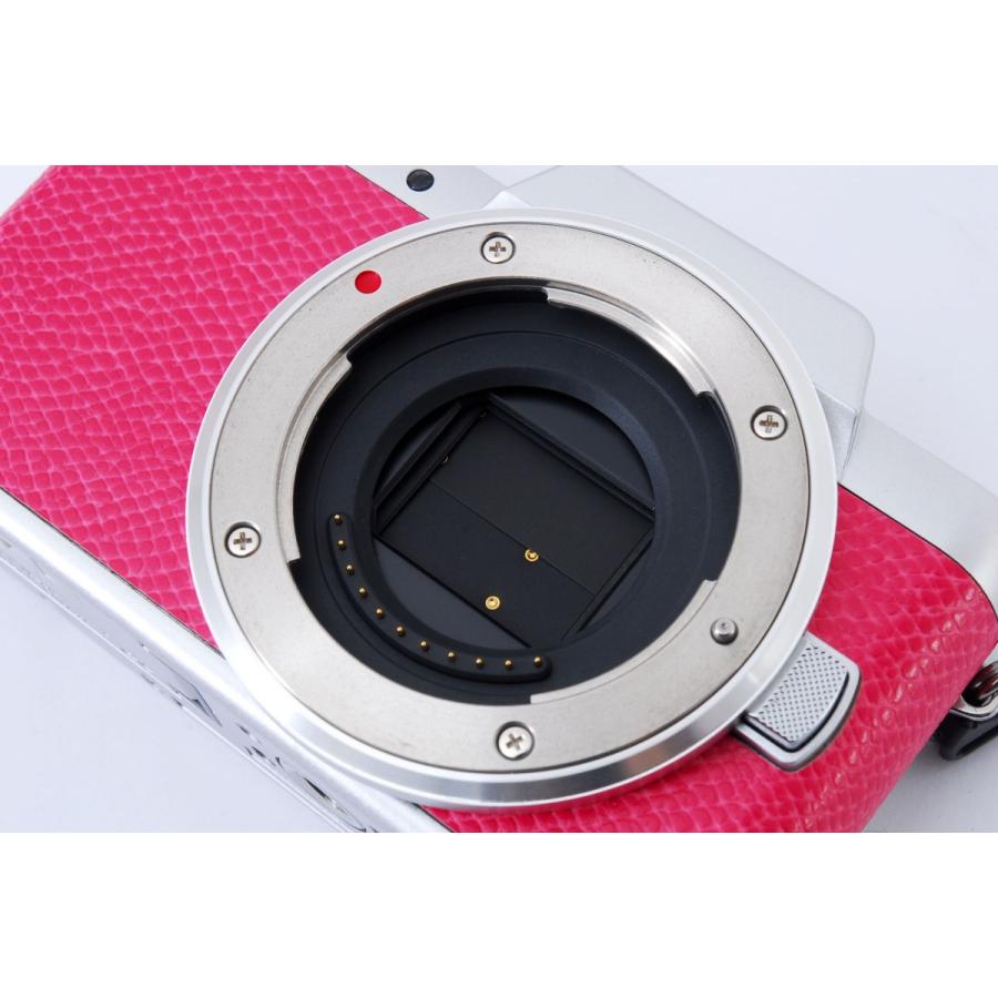 LUMIX Gシリーズ パナソニック ミラーレス一眼 Panasonic DMC-GF7