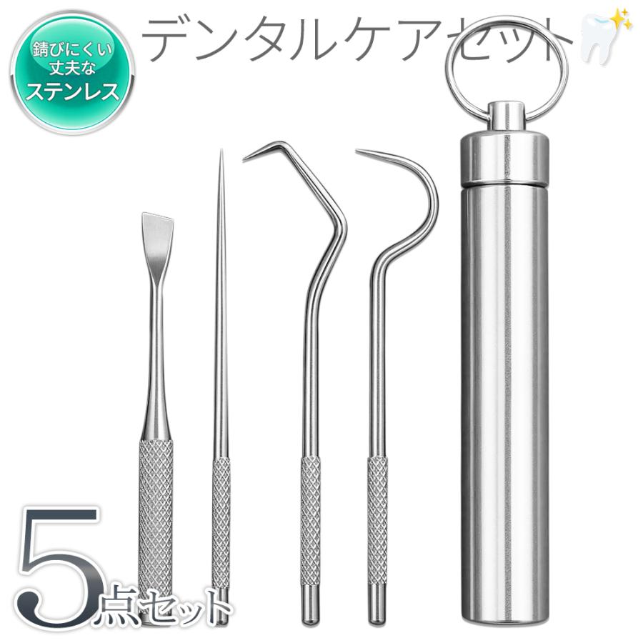 歯石取り オーラルケア 歯石除去 スケーラー型 セット ステンレス 5点