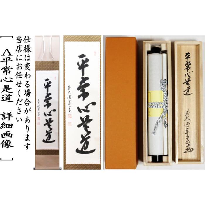 掛軸 阿刀寛明 平常心是道 共箱 画讃 茶掛 茶道具 禅語 前大覚寺5-5