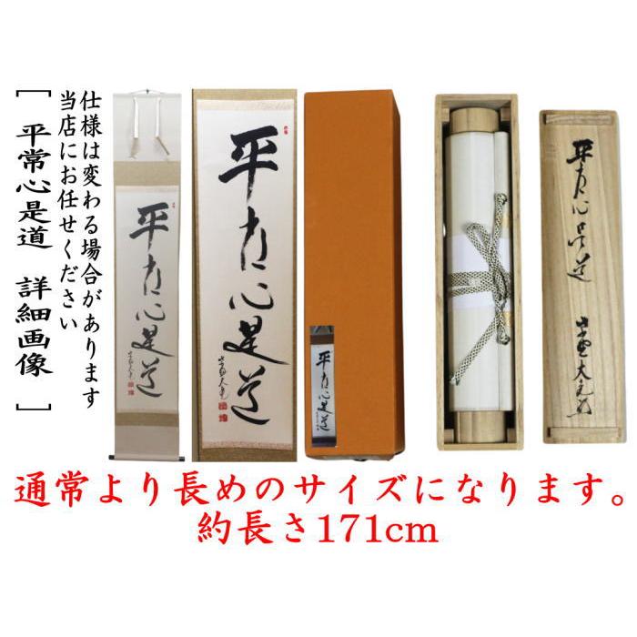 茶道具 掛軸 掛け軸 一行/太巻 平常心是道 立花大亀筆 通常より長めの