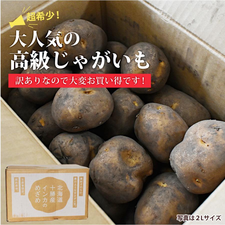 じゃがいも 訳あり 北海道 十勝産 インカのめざめ 10kg M〜2Lサイズ
