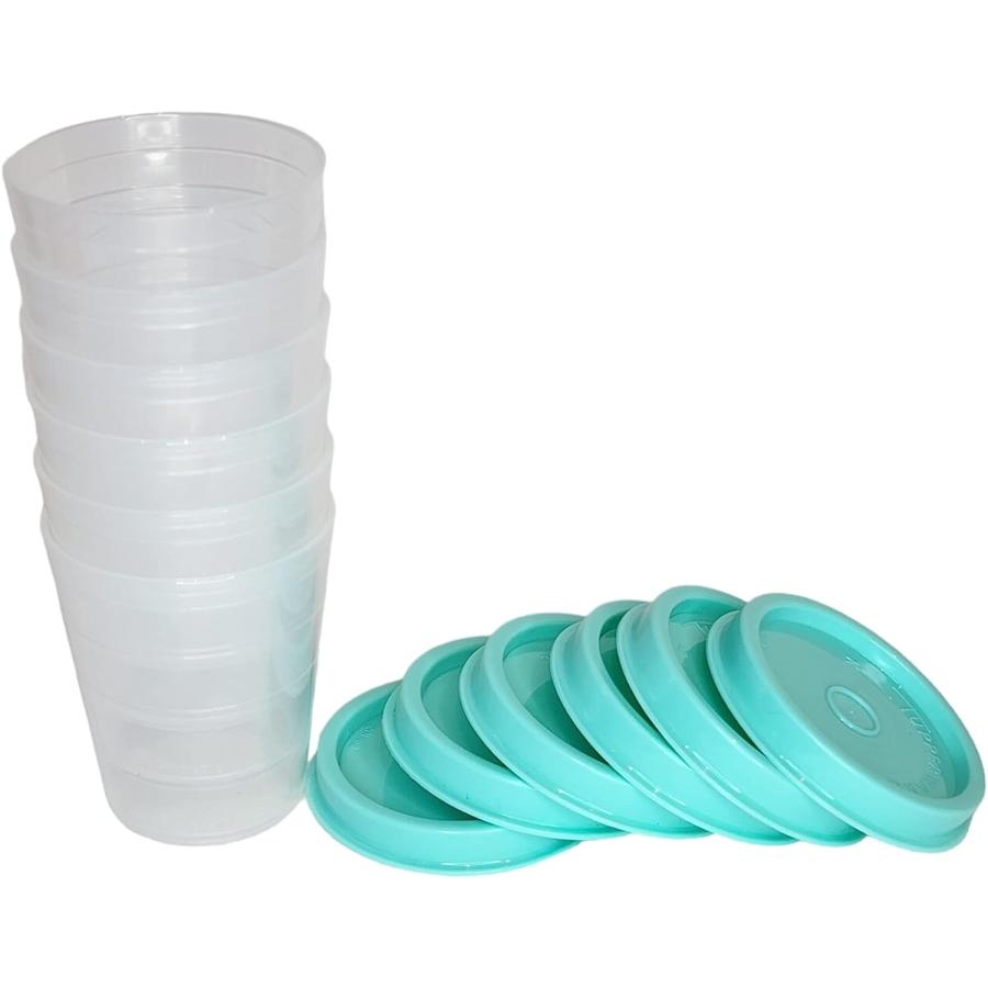 Tupperware 【並行輸入品】Tupperware タッパーミニ クラシック シアー