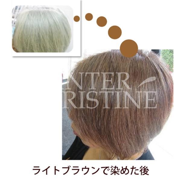 グリーンノート グリーンノートヘナ ライトブラウン 100g〜白髪がやや