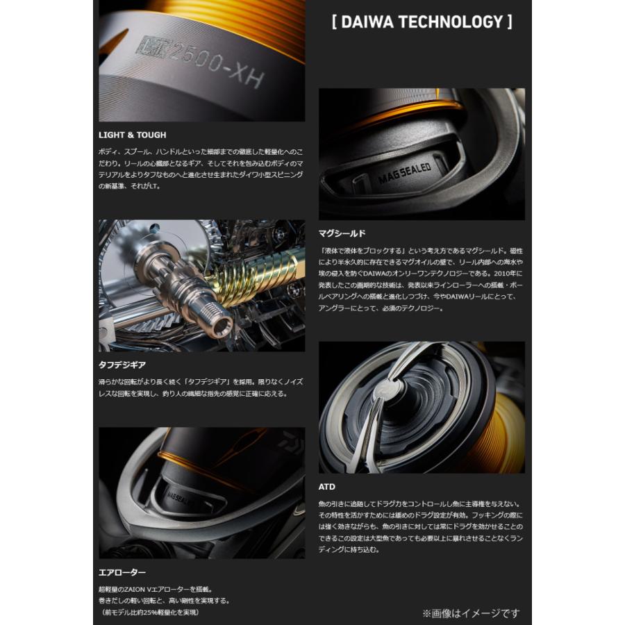 DAIWA（ダイワ） 【在庫限定特価】ダイワ 21 フリームス LT5000-CXH