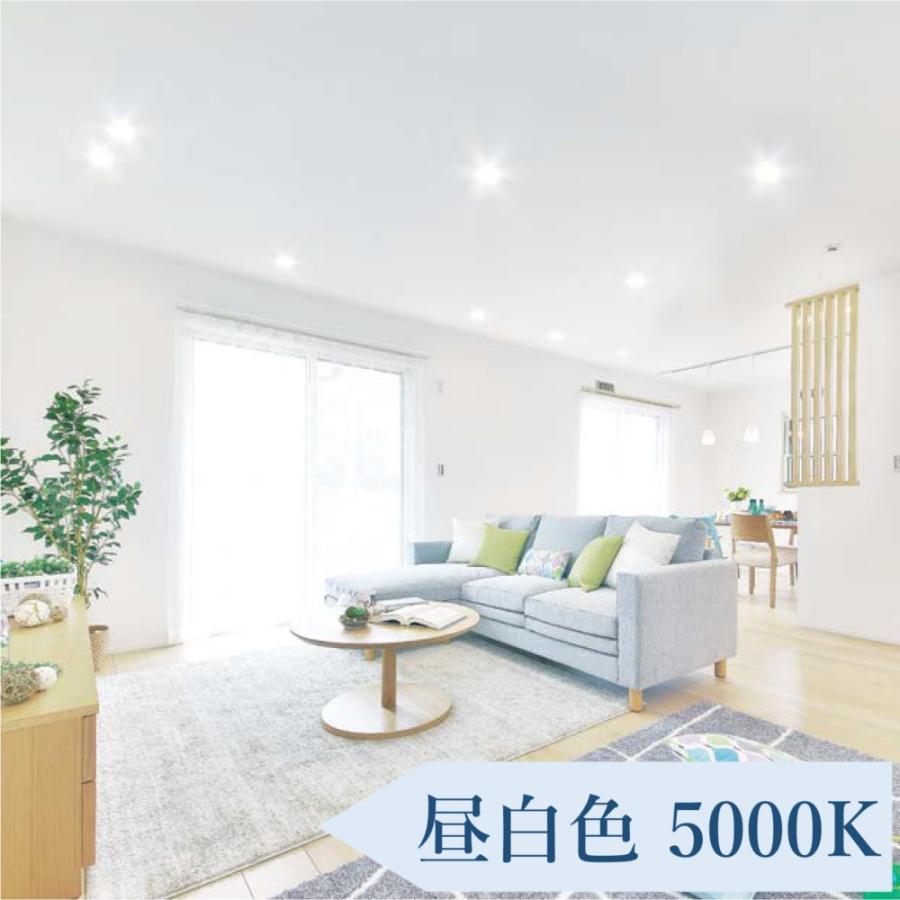 IRIS OHYAMA（アイリスオーヤマ） ダウンライト 100φ LED 100 LED照明