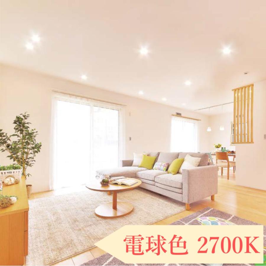 IRIS OHYAMA（アイリスオーヤマ） ダウンライト 100φ LED 100 LED照明