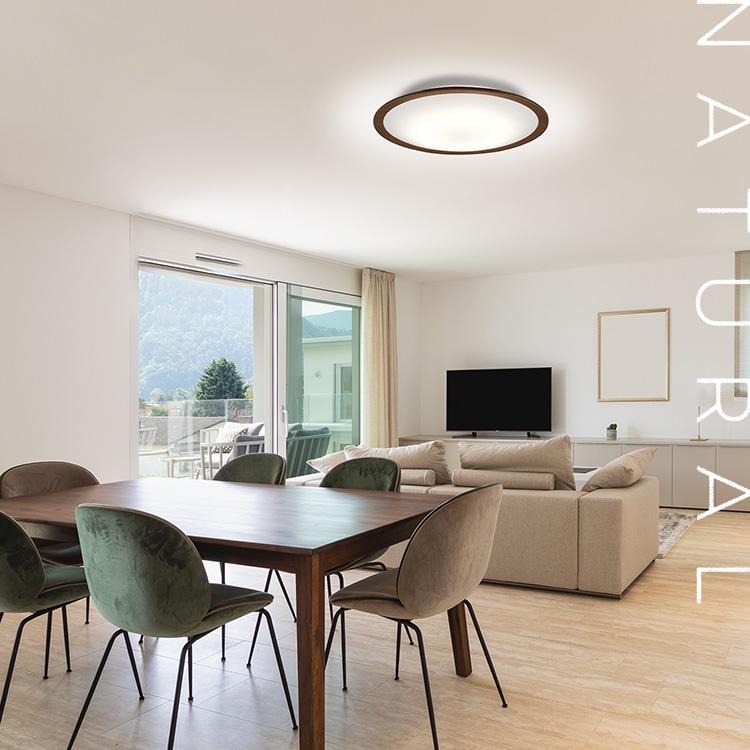 IRIS OHYAMA（アイリスオーヤマ） シーリングライト LED 8畳 LED