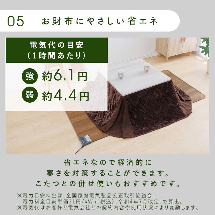 新品未使用アイリスオーヤマ 木目調 1畳ホットカーペット 2025.11購入