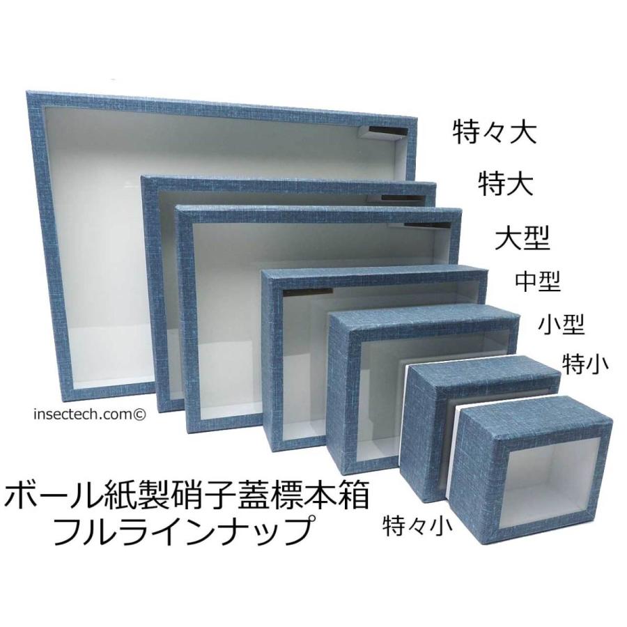 志賀ボール紙製硝子蓋標本箱【中型】Ver.2024 : インセクテック