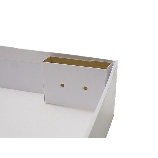 志賀ボール紙製硝子蓋標本箱【中型】Ver.2024 : インセクテック