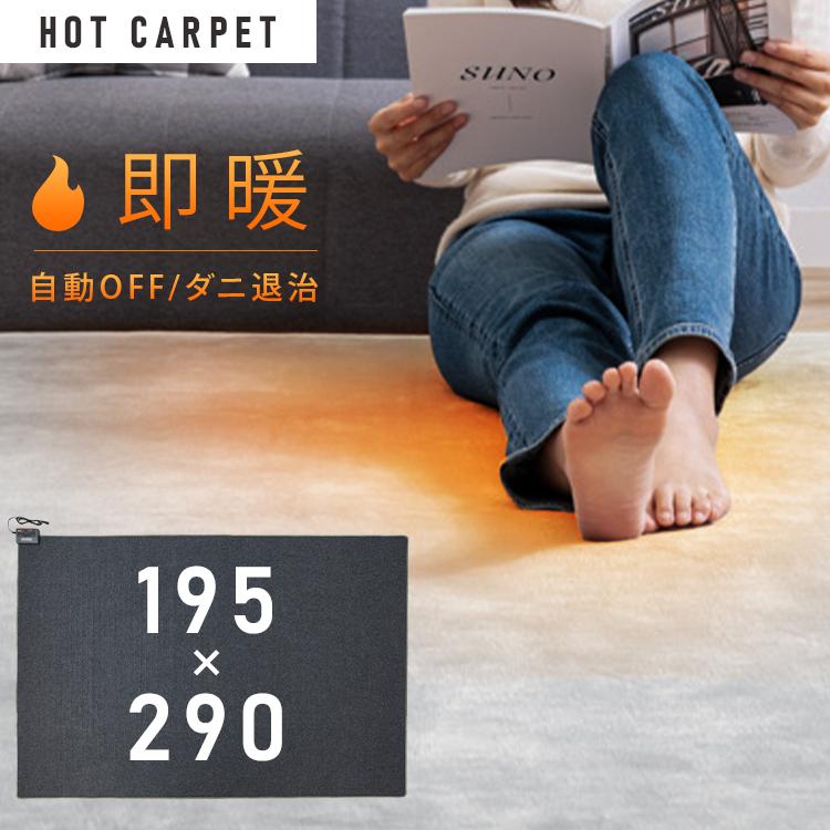 TEKNOS（テクノス） ホットカーペット 4畳 本体 195×290 電気