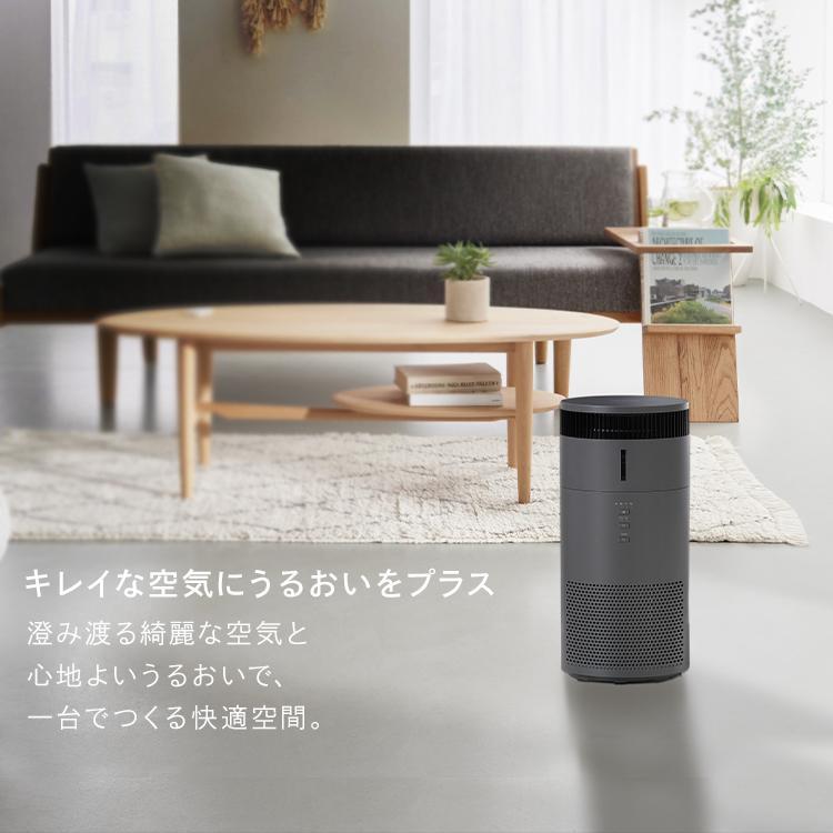 IRIS OHYAMA（アイリスオーヤマ） 空気清浄機 加湿空気清浄機 10畳