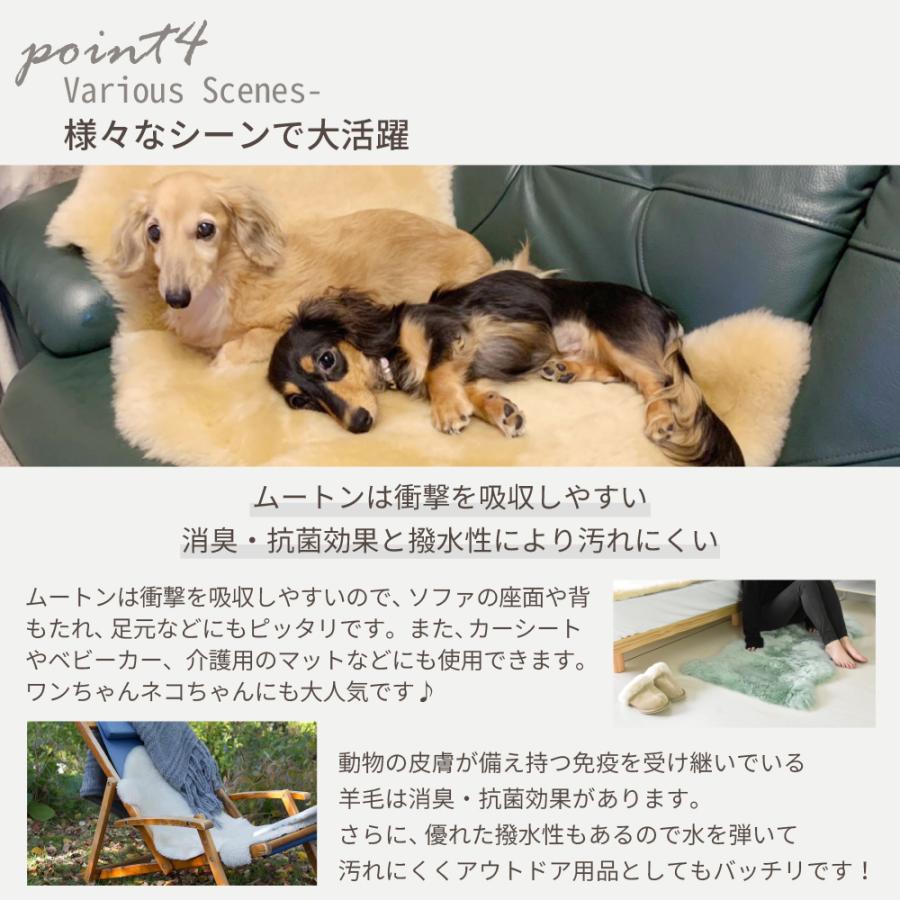 丸八真綿 【レビュー特典付 お手入れブラシ】 《丸洗いOK》洗える