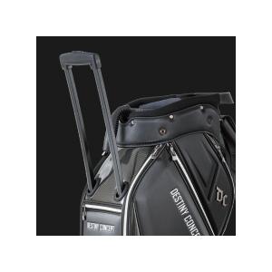 DESTINY CONCEPT [ディスティニーコンセプト]DESTINY デュアル