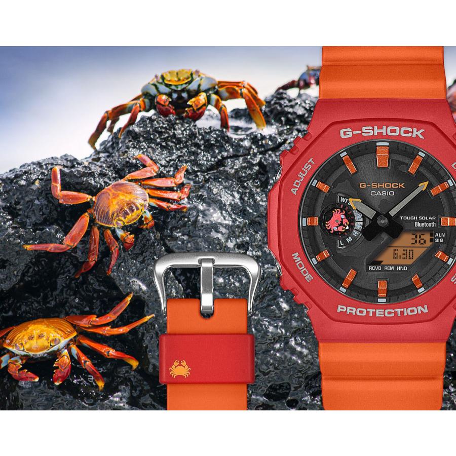 G-SHOCK Gショック 限定 チャールズ・ダーウィン財団 コラボ タフ