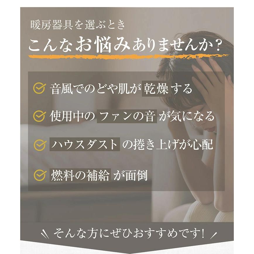 サンルミエ パネルヒーター 遠赤外線 サンルミエ800SD 送料無料 rev.2