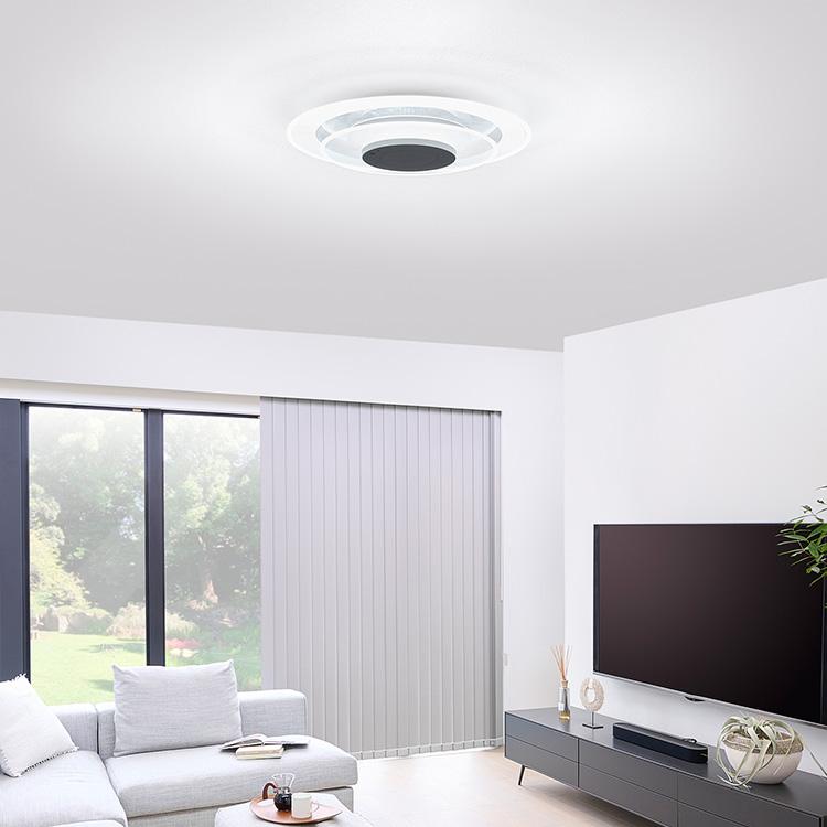 IRIS OHYAMA（アイリスオーヤマ） シーリングライト led 6畳 8畳