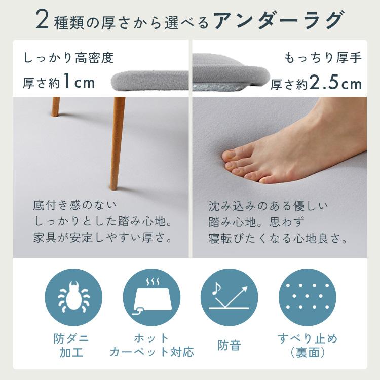 IRIS OHYAMA（アイリスオーヤマ） ＼数量限定 洗濯ネットおまけ付き