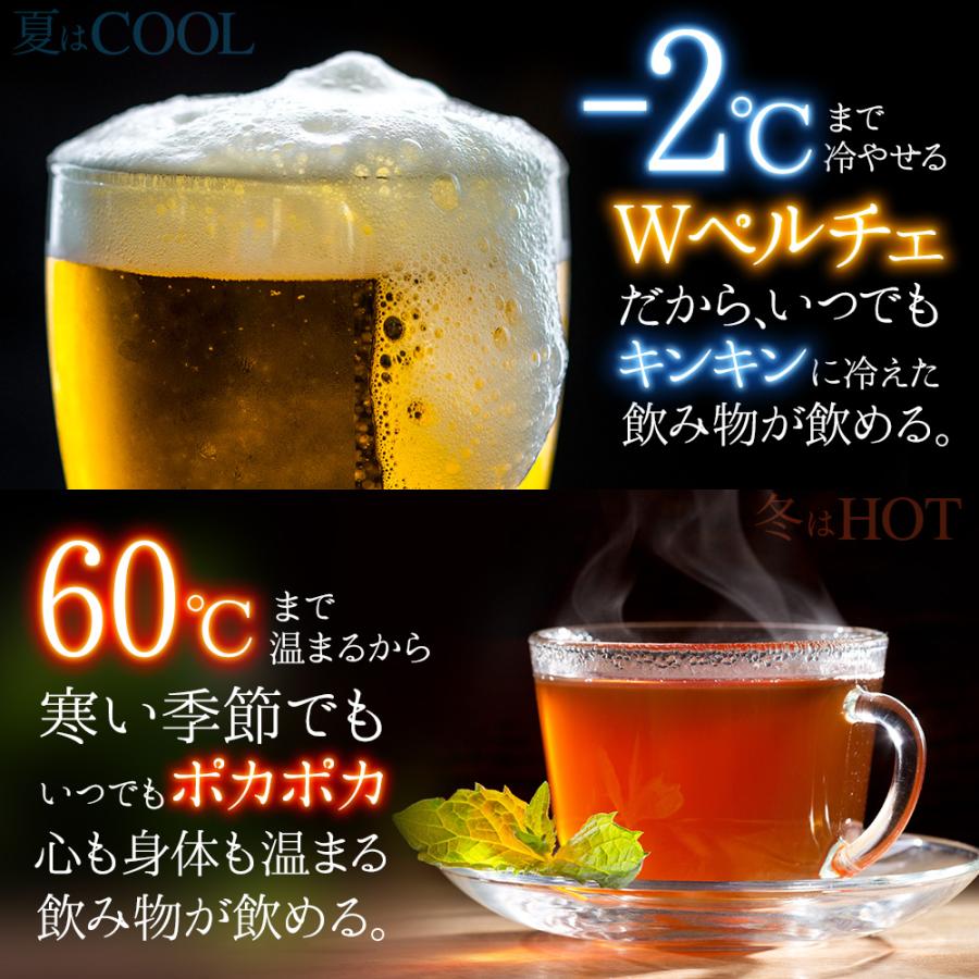 VERSOS（ベルソス） 冷温庫 10L 小型 冷蔵庫 ポータブル 保冷温庫