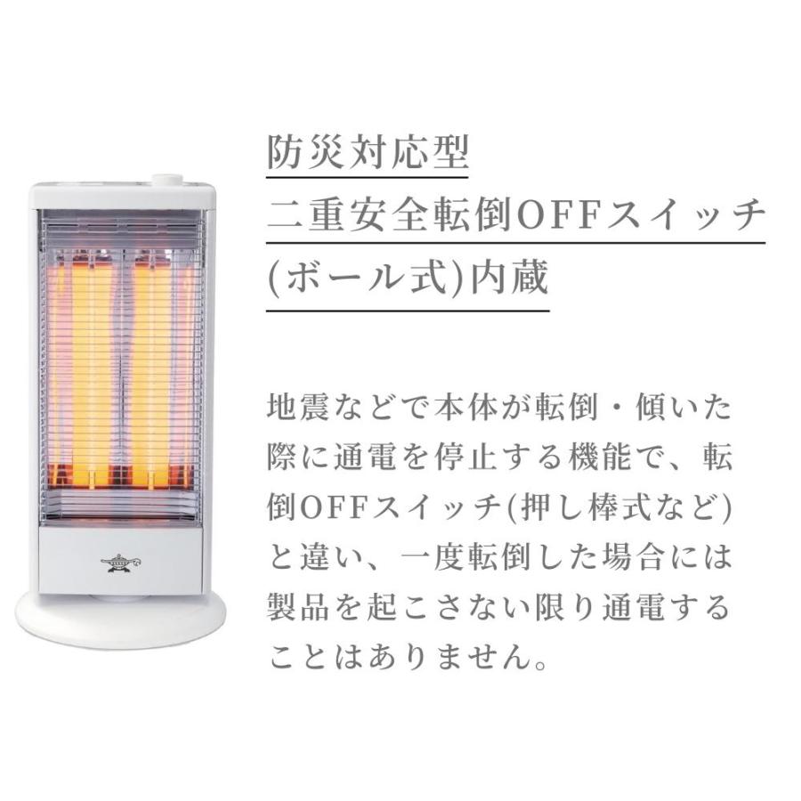 アラジン（Aladdin） 遠赤グラファイトヒーター 1000W AEH-G100C 暖房