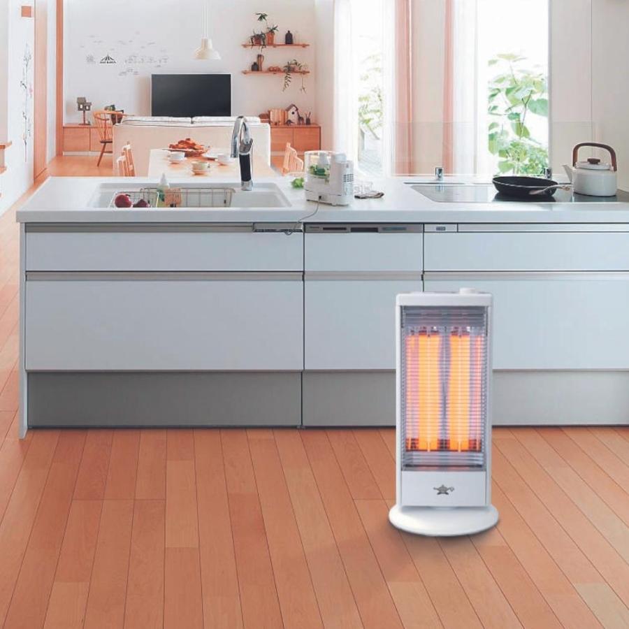 アラジン（Aladdin） 遠赤グラファイトヒーター 1000W AEH-G100C 暖房