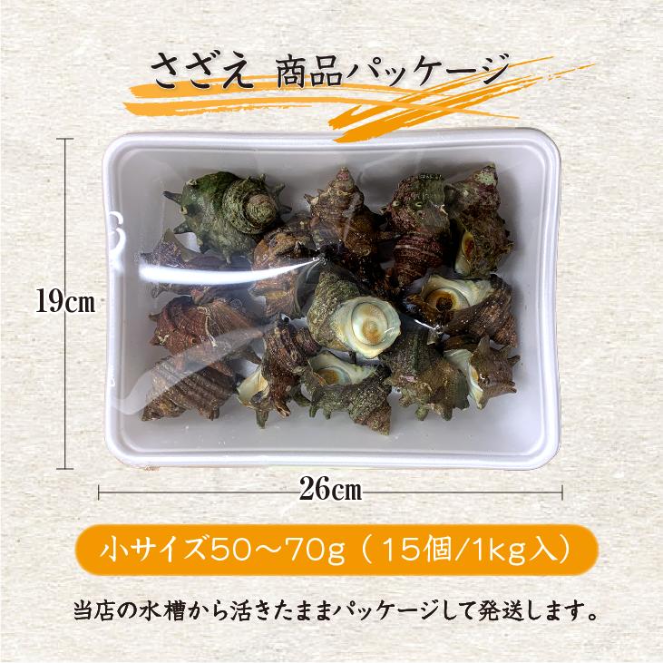 天然活 さざえ 小サイズ 1kg 15個 50〜70g [さざえ] : まるか水産Yahoo