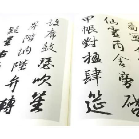 王義之 千字文 中国歴代書道名家作品集字 中国語書道/王羲之 千字文