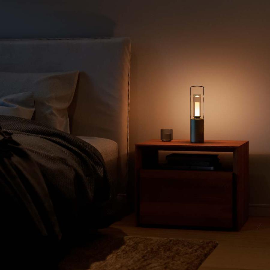 SHARP（シャープ） ポータブルスピーカーランタン DL-FS01L-S オリーブ