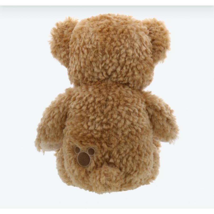 ダッフィー ぬいぐるみ Sサイズ ダッフィー＆フレンズ 東京ディズニー