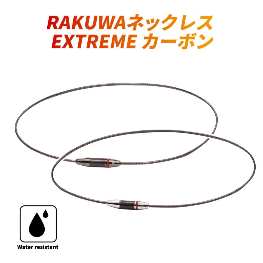 Phiten（ファイテン） phiten RAKUWAネックレス EXTREME カーボン