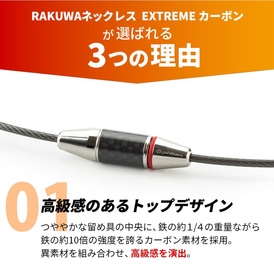 Phiten（ファイテン） phiten RAKUWAネックレス EXTREME カーボン