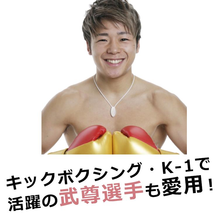 ZAAP ザップ プレミアムネックレス 電磁波防止 プレミアム ネックレス