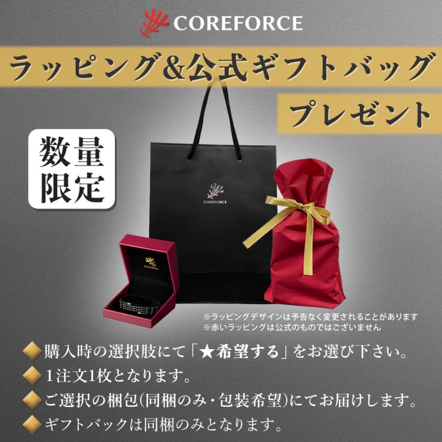 コアフォース ループ ブラックスピネル CFL50 50cm : 磁気ネックレス