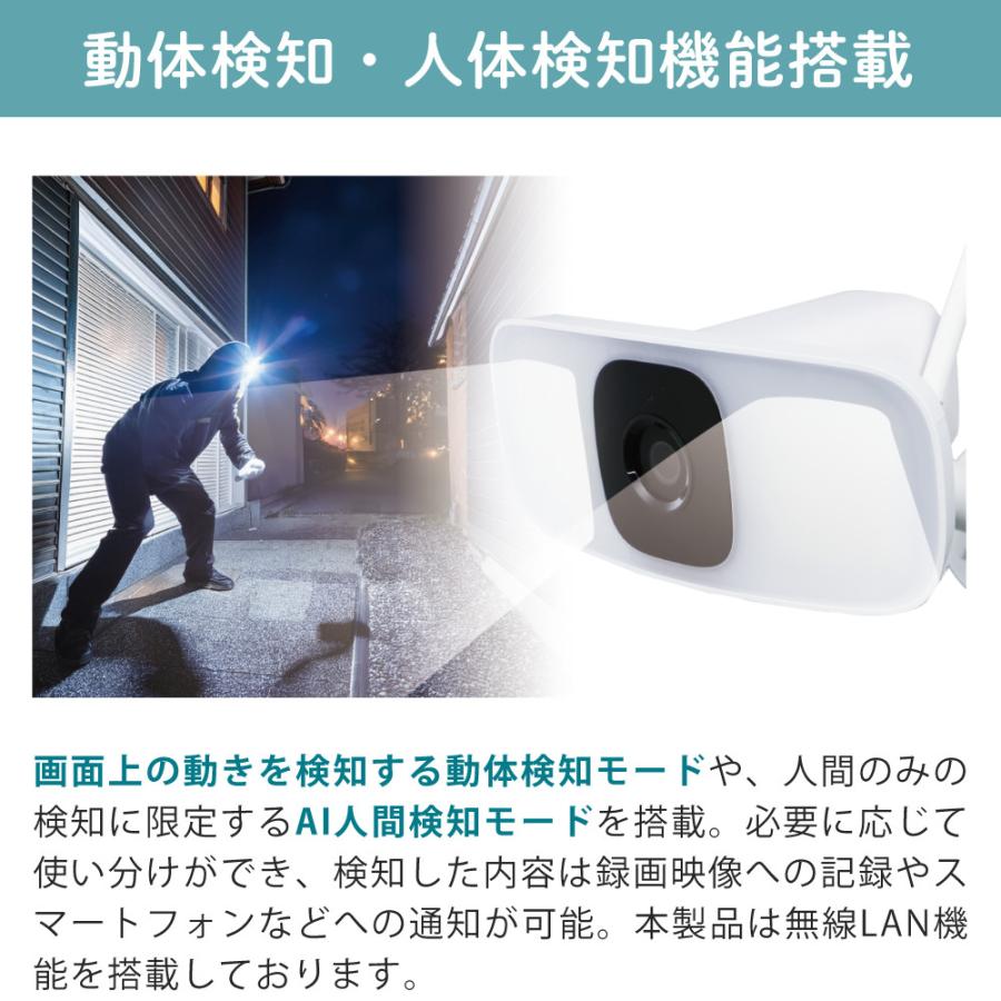 DXアンテナ 追っかけワイヤレスカメラ 防犯カメラ CNW4CPF1 : ホーム