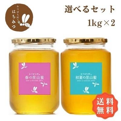 はちみつ 国産 純粋 非加熱 はちみつ1kg2本セット 生産直売 岐阜県産