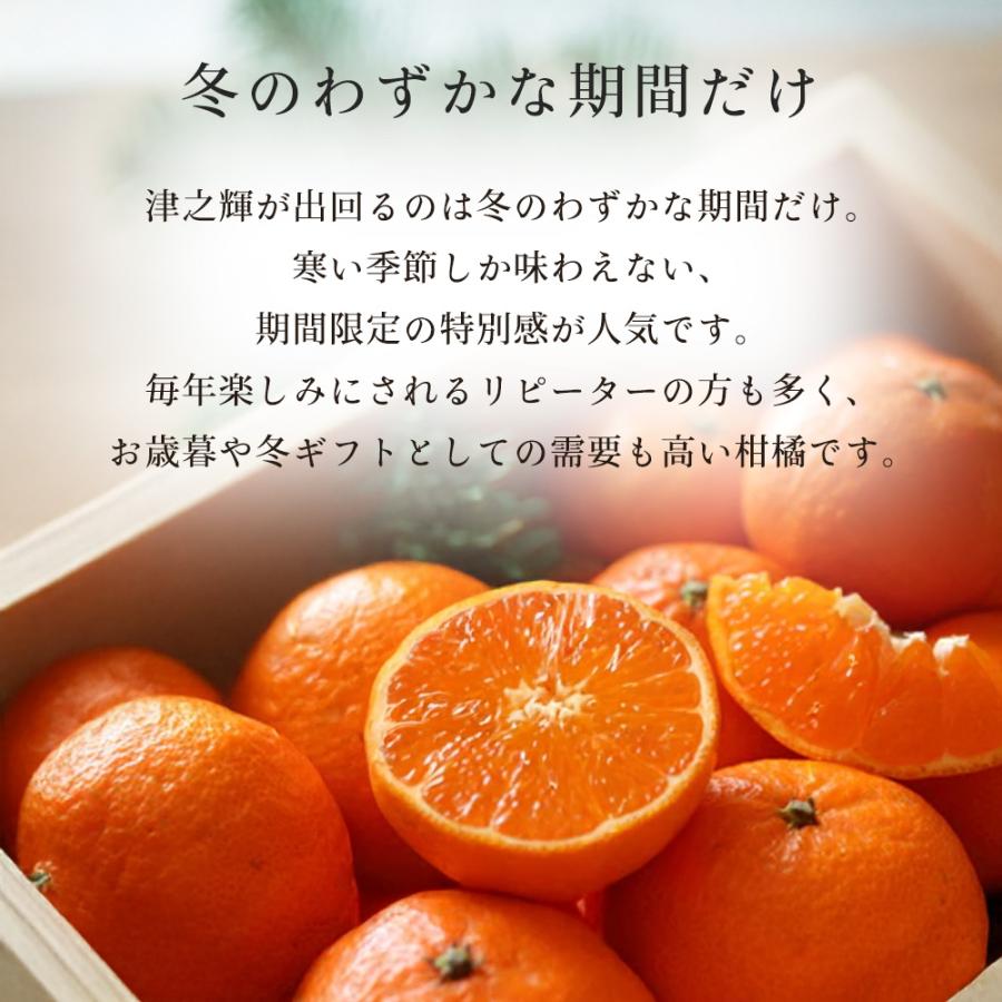 ケース 箱売り 津之輝 つの輝き つのかがやき 赤秀 約 5kg 佐賀県産