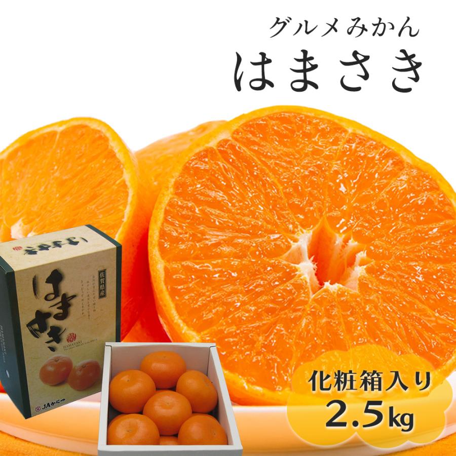 はまさき 佐賀県産 せとか の姉妹品種 柑橘 みかん 唐津 果物 麗紅 れ