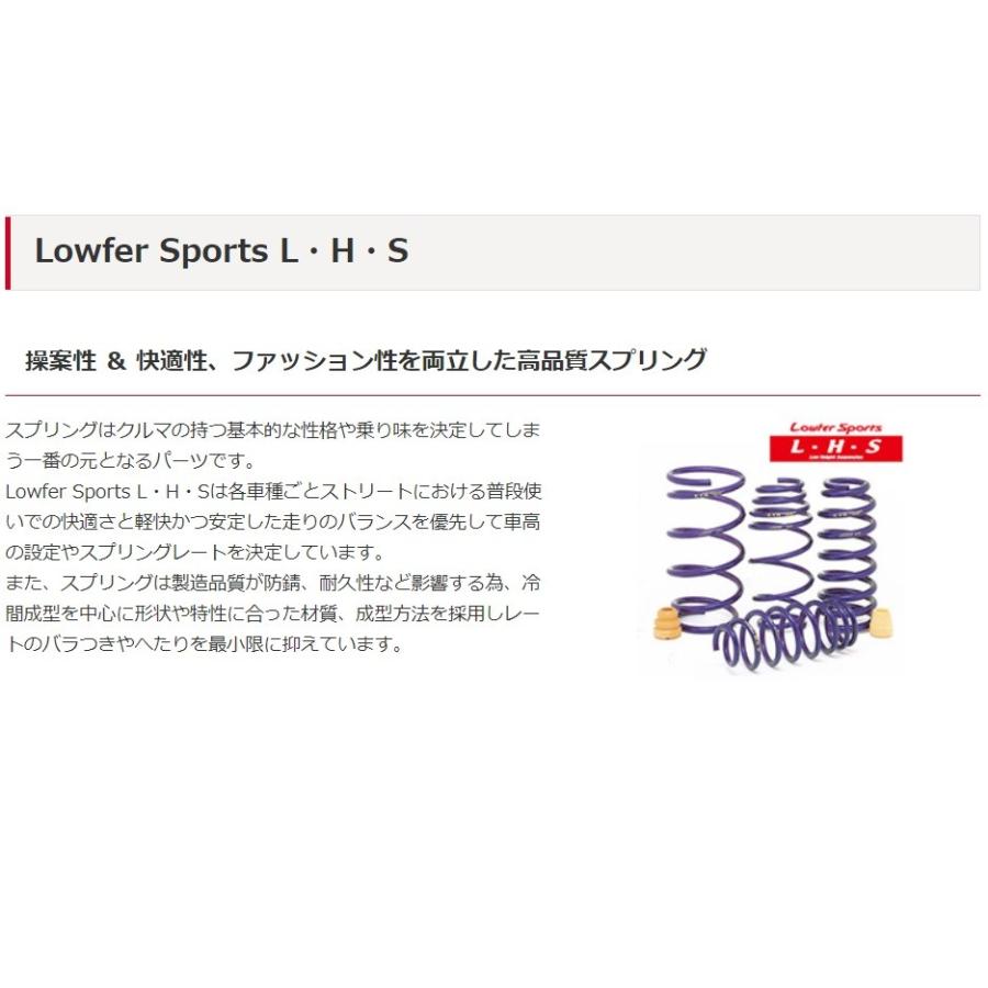 カヤバ エブリィワゴン DA64W 4/5型 スプリング ダウンサス セット LHS