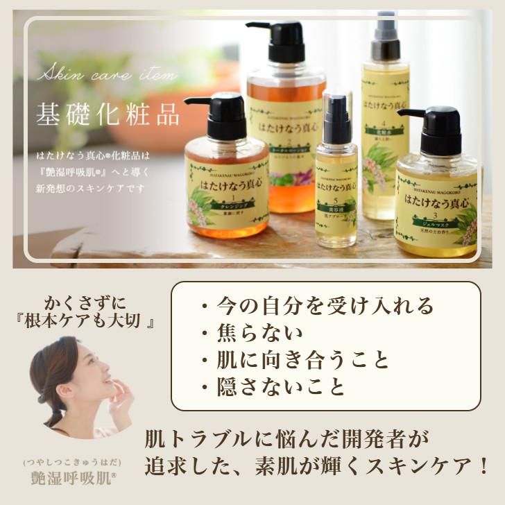 基本4点set) スキンケアセット はたけなう真心ユースフルグロウ 基礎