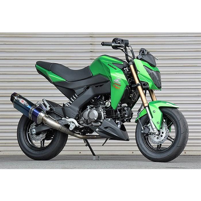バイク マフラー ビート BEET ナサートR-Evo TYPE2 クリアTI Z125PRO