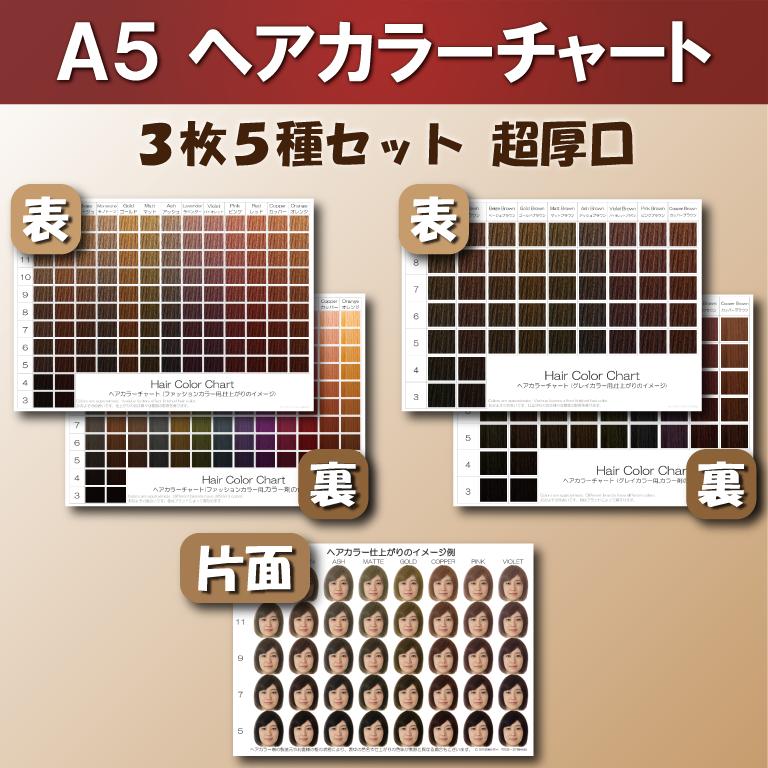 ヘアカラーチャート3枚5種セットA5超厚口 おしゃれ染め 白髪染め
